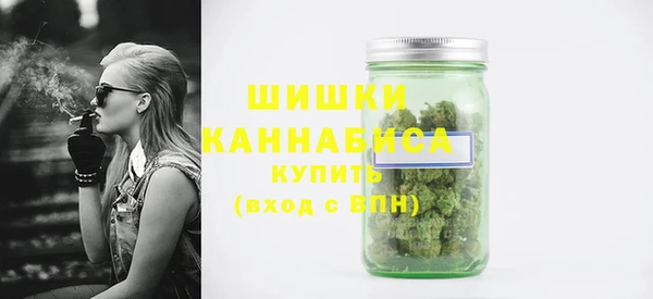 ECSTASY Сафоново