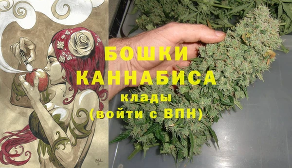 бошки Арсеньев