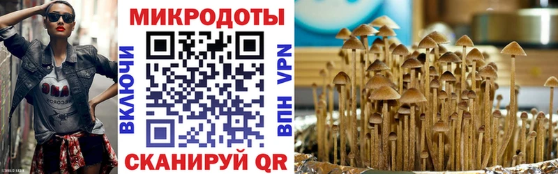 наркотики  Биробиджан  Галлюциногенные грибы Magic Shrooms 